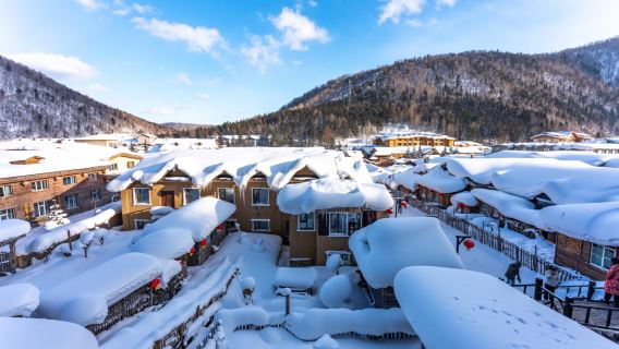 中國雪鄉+大禿頂山純玩一日遊【6人VIP團丨漢服丨雪地摩托車】