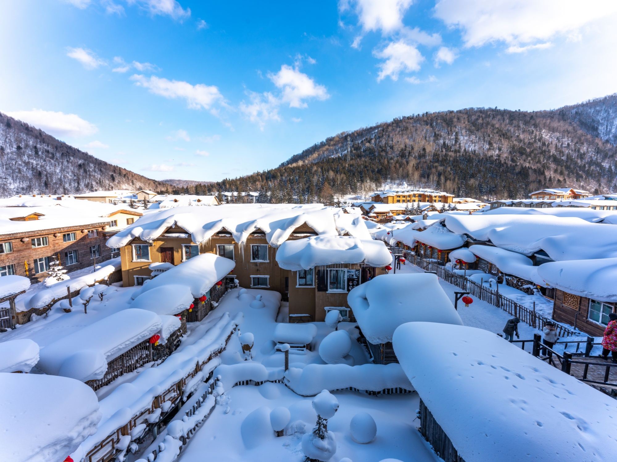 【6人VIP團·不滿意退全款】雪鄉一日遊【馴鹿園·贈航拍】