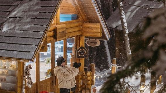 北海道一日遊|旭川動物園+美瑛聖誕樹+森林精靈台|客製化9人團