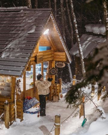 北海道一日遊|旭川動物園+美瑛聖誕樹+森林精靈台|可自訂