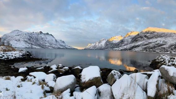 包車厄斯福德五大亮點（峽灣、極光、徒步、咖啡館、野生動物）