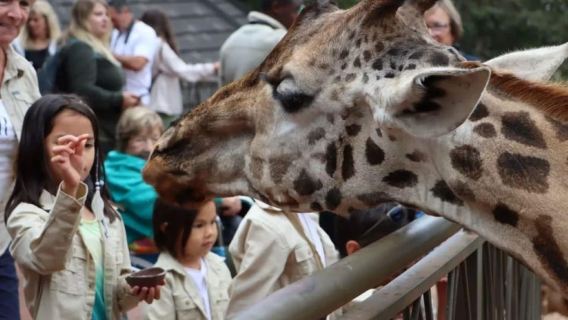 Найроби: Национальный музей, центр жирафов и бомы Кении