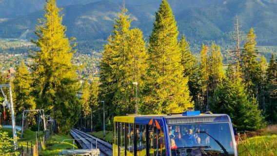 Zakopane: Begeleide dagtrip vanuit Krakau