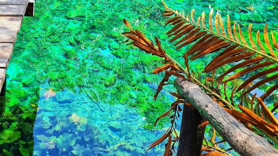 Rovine Maya di Tulum, Eco Park e Snorkeling: Visita guidata, Ingresso, Trasferimento + Pranzo