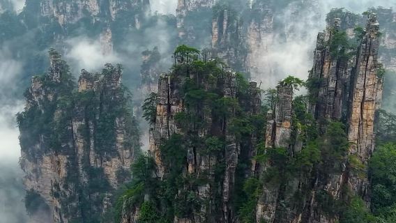 Zhangjiajie National Forest Park: Ticket | Privattransfer | Reiseleiter in mehreren Sprachen (Chinesisch und Englisch) | Panorama-Paket für uneingeschränkten Zugang