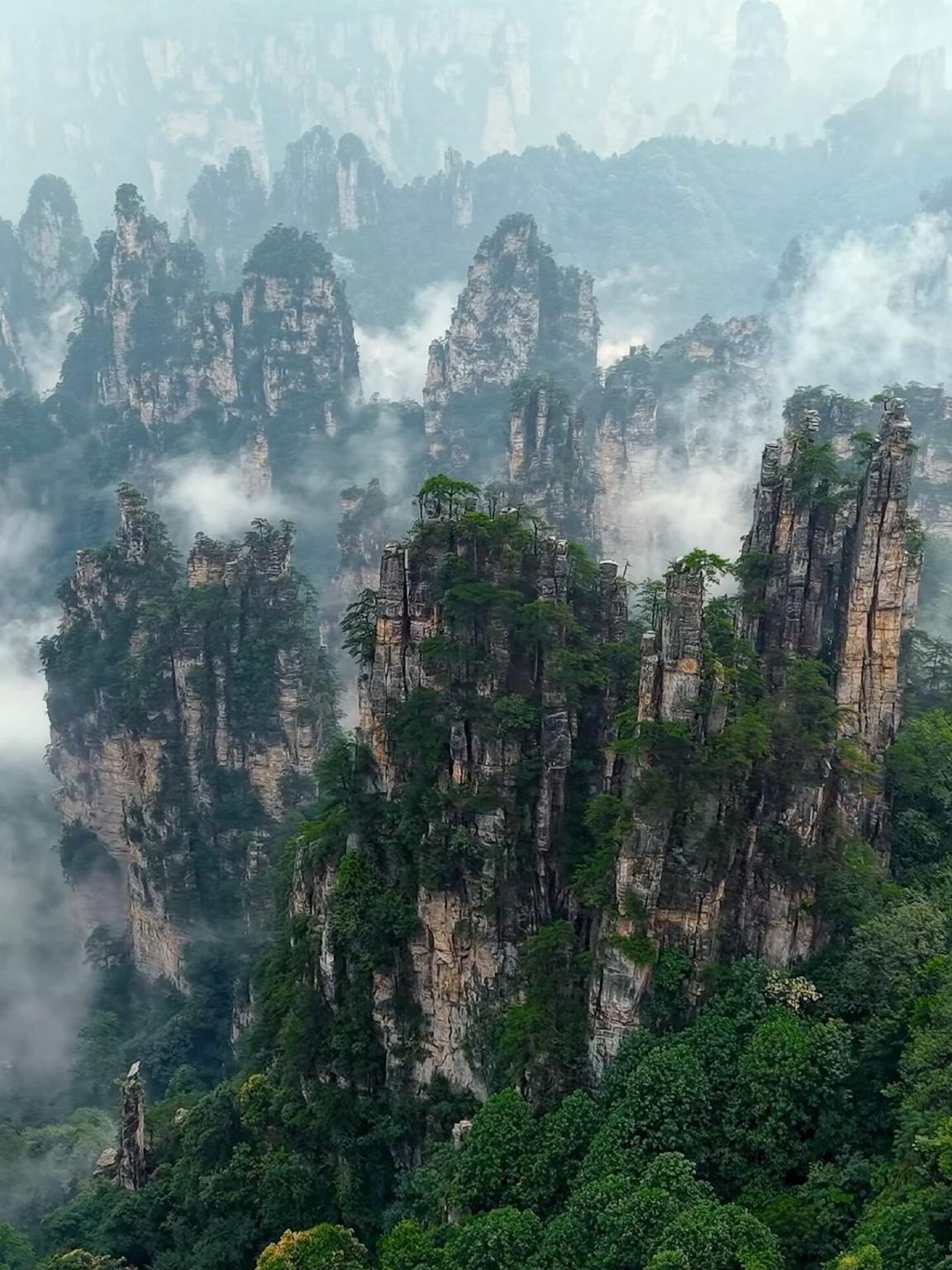 Zhangjiajie National Forest Park: Ticket | Privattransfer | Reiseleiter in mehreren Sprachen (Chinesisch und Englisch) | Panorama-Paket für uneingeschränkten Zugang