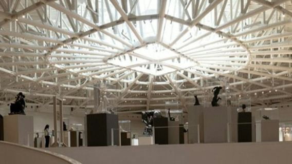 Museo Soumaya: Rondleiding met gids