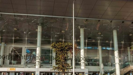 Νάπολη: Μεταφορά από το αεροδρόμιο Καποντίκινο προς το κέντρο της πόλης