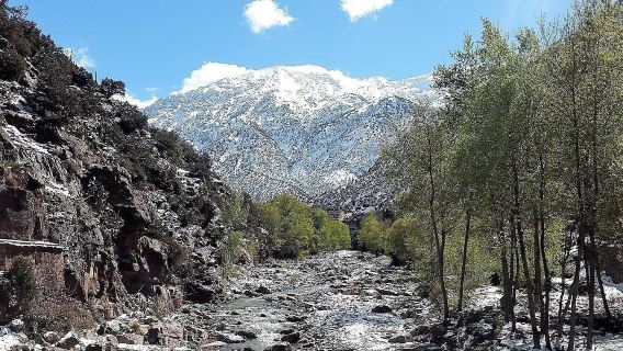 lawatan sehari Marrakech Lembah Ourika + Pergunungan Atlas termasuk makan tengah hari