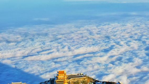 Tour di un giorno a Leshan e Emeishan con servizio in inglese: Cima d'Oro, Tempio Wannian e Padiglione Qingyin