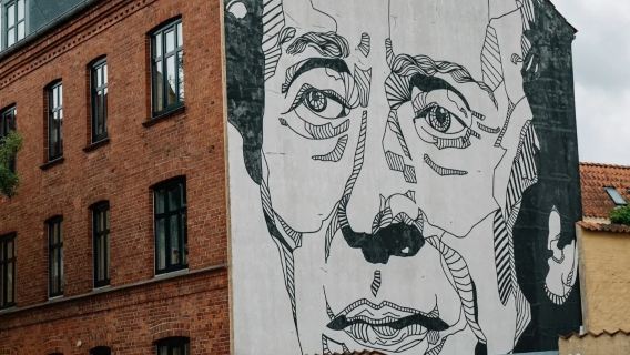 Copenhagen to Odense round-trip - Hans Christian Andersen's House - Egeskov Castle - Private Charter Top Pick