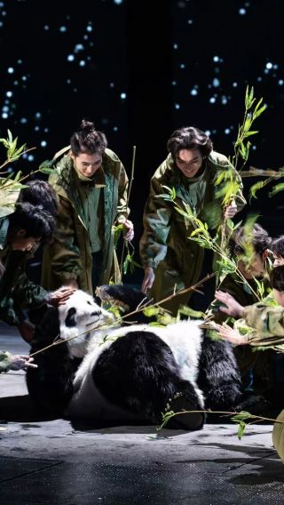 Departing from Chengdu: Bifengxia wildlife park + panda epic drama [1-day private charter tour]