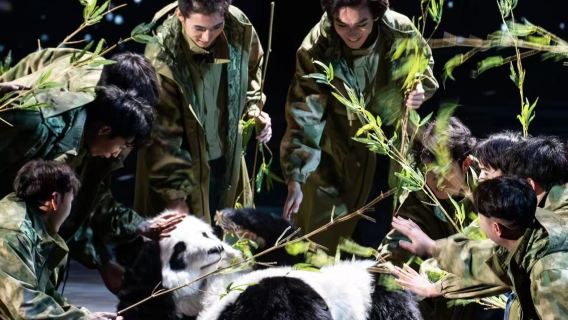 Ab Chengdu: Tagesausflug mit Privattransfer zum Bifengxia-Tal, Wildtierpark und Panda-Epos-Theater