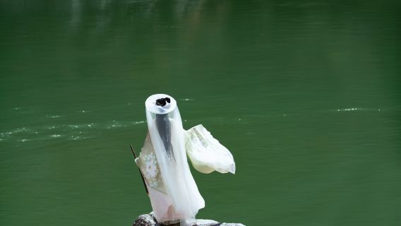 Gongga Trip Moments[Lengga Cuo/Mount Niubei/Yuzi Xi/Multilingual Translation/Photographer Services Including Follow Shots, Aerial Photography, Companion Shots, and Customized Sessions]