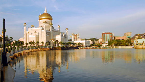 【快速代填電子入境卡】汶萊入境卡｜E-Arrival Card入境卡｜Brunei入境卡｜72小時內入境卡