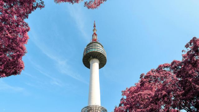 Servizio di registrazione e compilazione della carta elettronica d'ingresso in Corea (Korea Arrival Card) · Servizio di dichiarazione per l'ingresso doganale