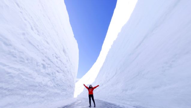 Tour en autobús de 1 día desde Kanazawa al Festival del Muro de Nieve de Tateyama Kurobe 2026