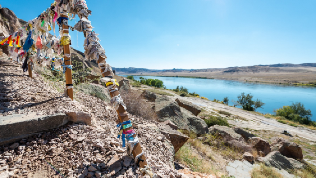 1-day tour from Almaty to Tamgaly-Tas (admission ticket not included)