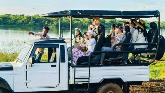 Bentota, Sri Lanka: Tour giornaliero al parco nazionale di Uda Walawe con noleggio con conducente esclusivo/jeep