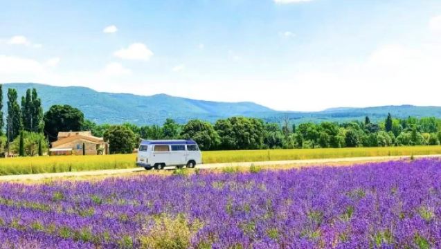 Lawatan sehari sewaan peribadi di Nice: Lembah Verdon + Lavender Provence + Tasik Sainte-Croix + Saintes-Maries