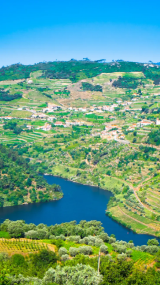 Porto, Portugal: Douro Valley winery lunch tasting + valley cruise | multilingual join-in tour
