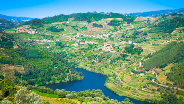 Porto, Portugal: Douro Valley winery lunch tasting + valley cruise | multilingual join-in tour