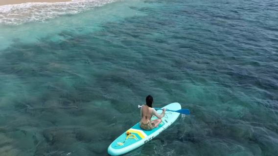 Papan Dayung + Snorkeling Terumbu Karang di Pulau Jiajing dengan Rakaman Udara Percuma + Foto & Video Snorkeling Dipandu Jurulatih