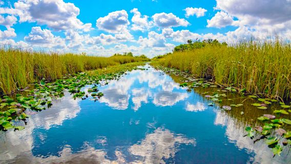 Miami City + Everglades National Park Day Trip | Small Group Tour (No More Than 14 People) with English and Chinese Language
