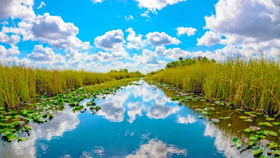 Miami City + Everglades National Park Day Trip | Small Group Tour (No More Than 14 People)