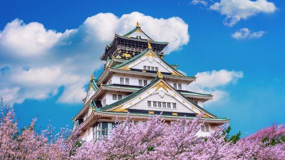 Servizio di transfer con noleggio con conducente esclusivo tra Tokyo e Osaka in Giappone (attesa con cartello all'aeroporto + trasferimento punto a punto + assistenza per il trasporto bagagli)