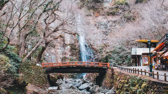 Matsuyama Highlights Audio Tour: Castle & Shrines