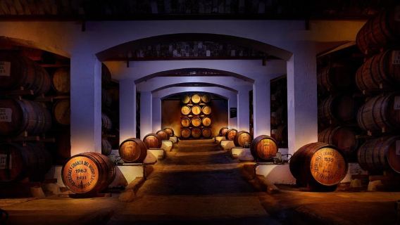 Segovia: Tour guiado por la destilería DYC con degustación de whiskey