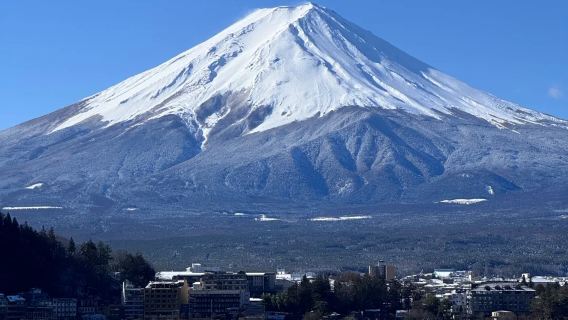 Mount Fuji day tour [customizable itinerary] [private car with guide]