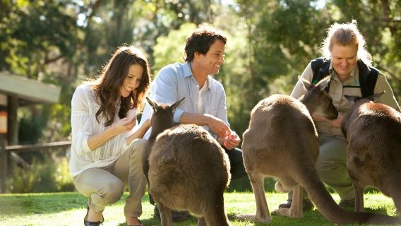 Yarra Valley + Healesville Sanctuary day tour (English-speaking group, max 11 travelers)