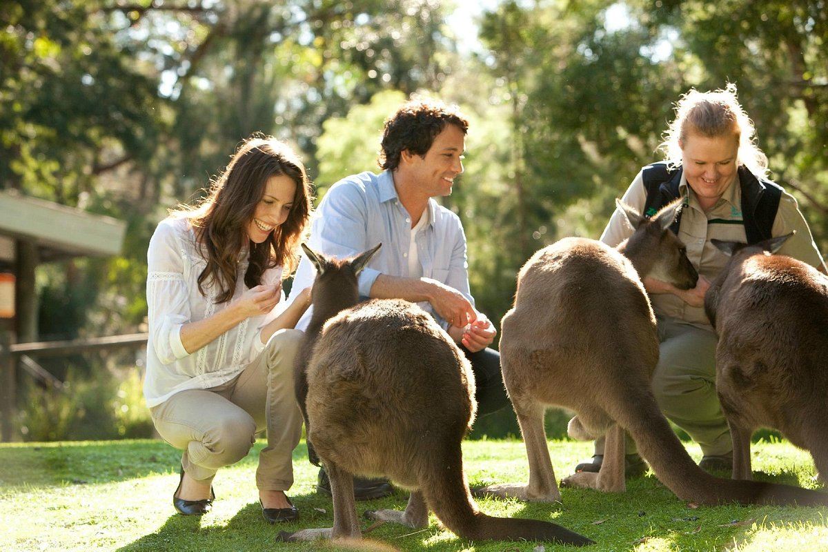 Yarra Valley + Healesville Sanctuary day tour (English-speaking group, max 11 travelers)