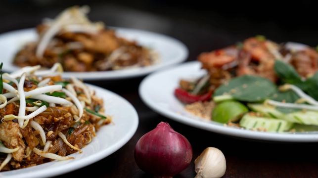 蘇梅島大象王國【餵大象|空中棧道|網紅大象咖啡廳