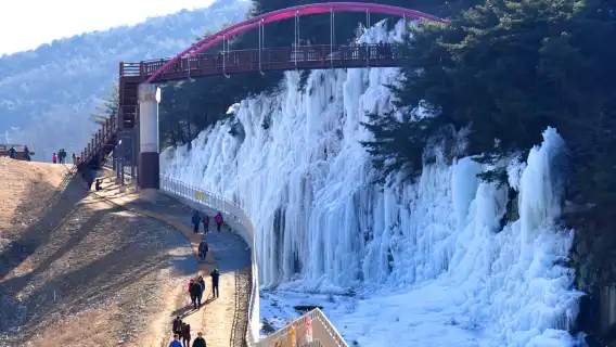 慶州國民療愈公園+大邱冰凍仙境宋海公園冰壁 (或) 琵瑟山自然休養林+西門市場日遊 (釜山出發, 冬季限定)