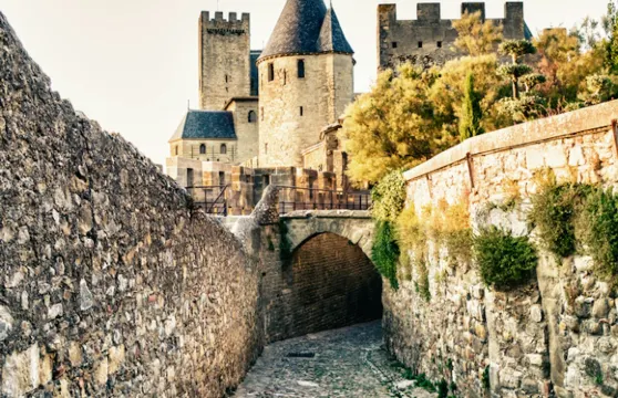 卡爾卡鬆城堡：城堡＋城牆＋博物館成人