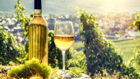 Alsace full-day shared wine tour from Colmar