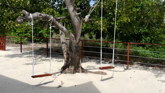 馬來西亞仙本那敦沙卡蘭海洋公園【美嘉島珍珠島| 浮潛】