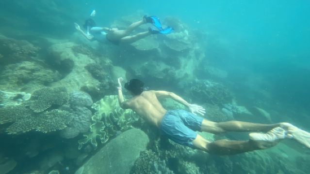 เกาะฟูก๊วก: ทัวร์ดำน้ำตื้นและสำรวจเกาะเต็มวัน