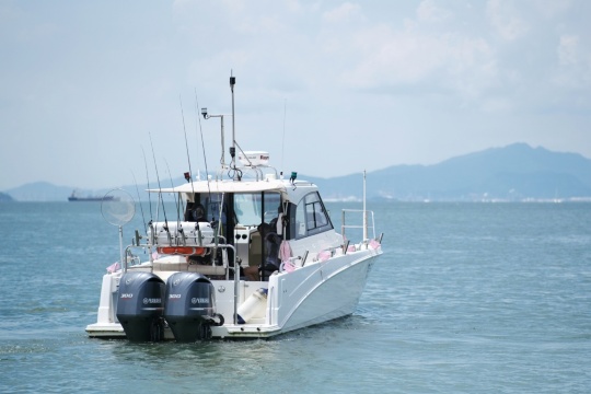 深圳包船夜釣魷魚吹筒仔 ~海釣專業釣魚艇包船出海！