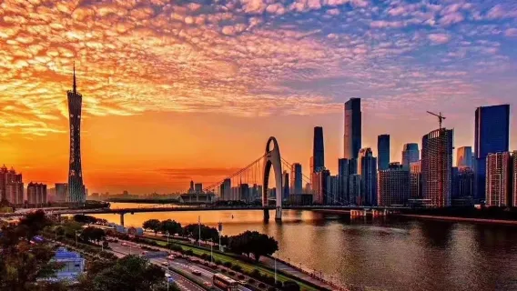 Guangzhou: Torre de Guangzhou + Shamian + Crucero nocturno por el río Pearl|Chino, inglés y otros idiomas: servicio de coche privado con conductor personalizado