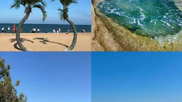 日照包車一日遊+燈塔+世帆賽基地+萬平口海濱風景區+太公島牡蠣公園