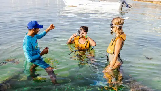 Snorkelling experience for non-swimmers in Cancun
