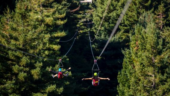 Rotorua, luncur gantung, Selandia Baru: Prasmanan Puncak Gunung + Luge + Zipline (kereta gantung Rotorua Skyline adalah tempat yang wajib dikunjungi di Pulau Utara Selandia Baru)