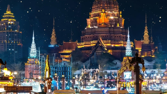 西雙版納中科植物園+原始森林公園+告莊夜市【一單一團】