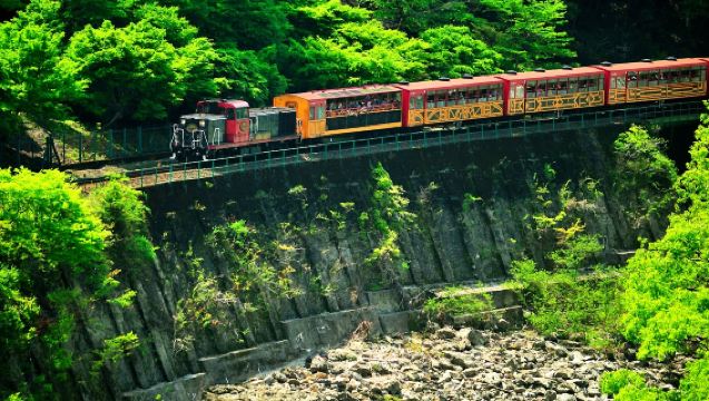 Spring Limited - 1-day tour to Kyoto's Kinkaku-ji and Arashiyama Spring Cherry Blossom Train, with full access to the Arashiyama area