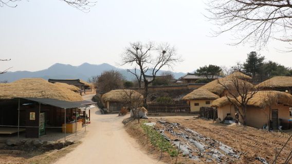 영덕군데이 투어