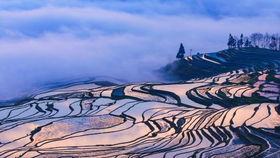 Visite privée de 2 jours de la région pittoresque des rizières en terrasses Hani de Honghe Yuanyang